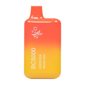 ELF BAR BC5000 Disposable Beach Day 5000パフ 650mAh