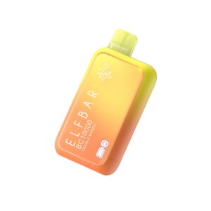 ELF BAR BC10000 Disposable 10000パフ Double Mango 18ml