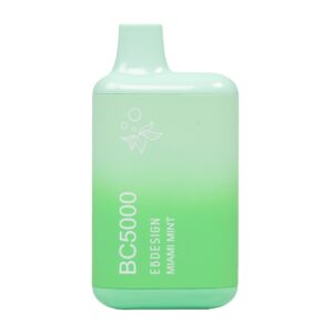 ELF BAR BC5000 Disposable Miami Mint 5000パフ